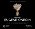 Olga - Eugene Onegin -- news item graphic